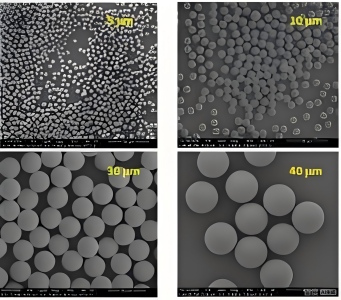 大分子纯化填料